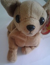 TY Beanie Babies - Tiny the Chihuahua  
