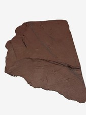 X-Large Lastra di Ardesia Rossa Naturale - Pietra di Dichiarazione 11x8 - Giardino, Acquario, Cr