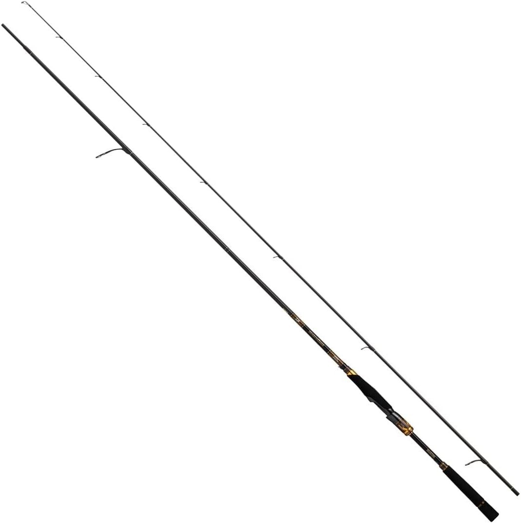 ロッド DAIWA Morethan BRANZINO 109ML Daiwa 20 MORETHAN BRANZINO EX AGS 98M/MH 9ft 8in 2pcs Spinning Rod