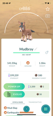 #749 Mudbray ! Same Day Shippment or Next Day Guaranteed