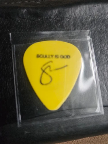 Image: https://i.ebayimg.com/images/g/eVcAAeSwq61oZE~v/s-l500.webp Pearl Jam Pick Stone Gossard Scully Joke Pick Guitar Pick - Picture 1 of 2