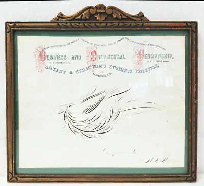 Islamic - Calligraphy Script - Vatican