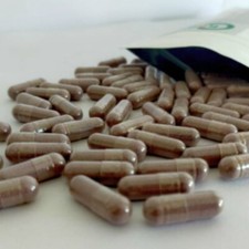 1000 Capsules Thai Black Ginger Galingale Kaempferia parviflora Krachai Dam