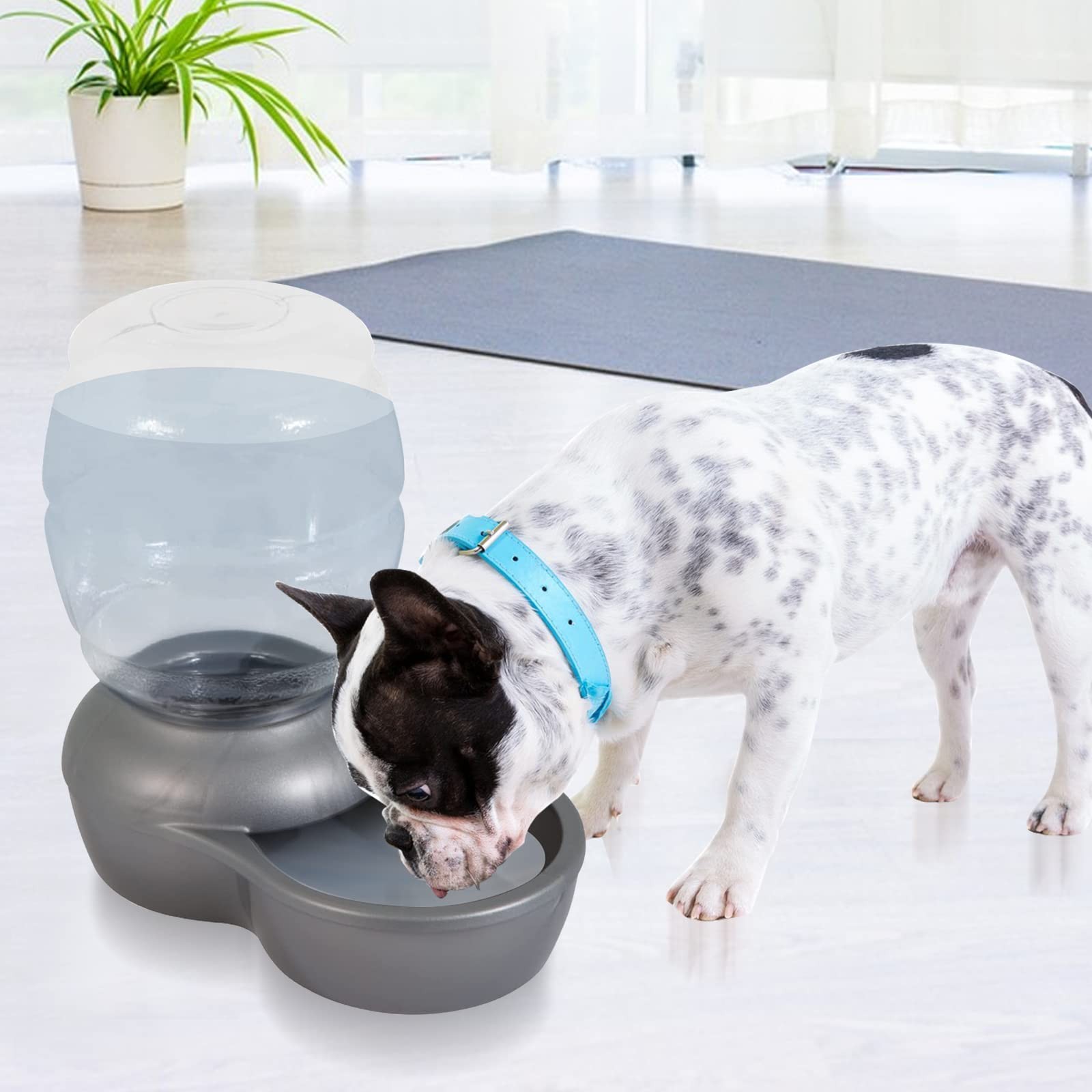 Pet Fountain Charcoal Water Filter Replacement, Dog Cat Water Bowl Filter Pet...