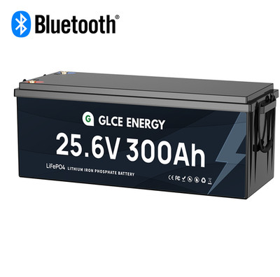 24V 300Ah Lithium Battery 10000+Deep Cycle LiFePO4 100A BMS for SolarRV Off-grid