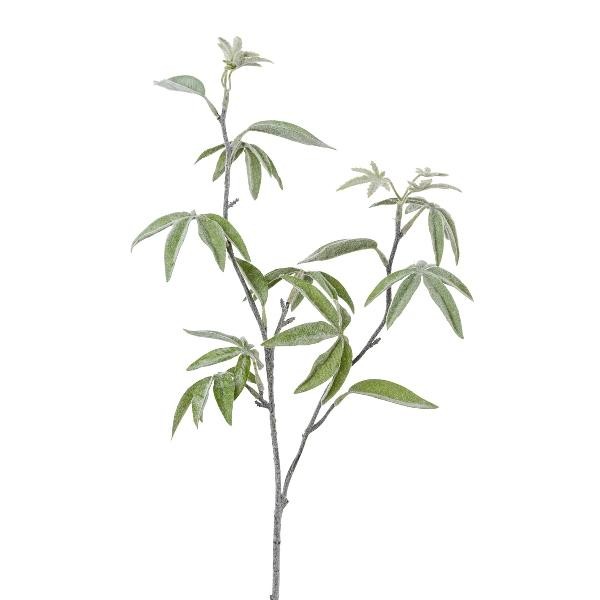 Artplants Kunstzweig Fingeraralie Dreval, Gefroren, Weiß-GrüN, 65Cm-image