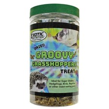 Groovy Grasshoppers - Dried Insect Treat - Hedgehog, Bird, Sugar Glider