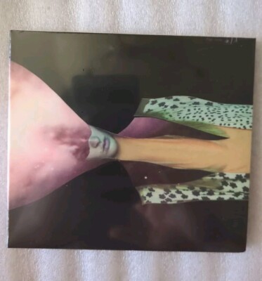 Painted Shield (2) by Painted Shield Sealed CD 2022 Stone Gossard New Slimline