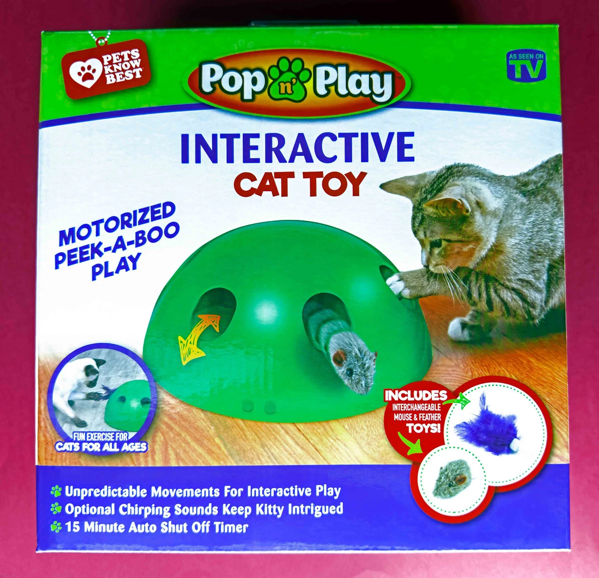 6 types of toys that prevent your cat from getting bored - Catit