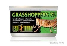 Exo Terra Grasshoppers XL 1.2 oz