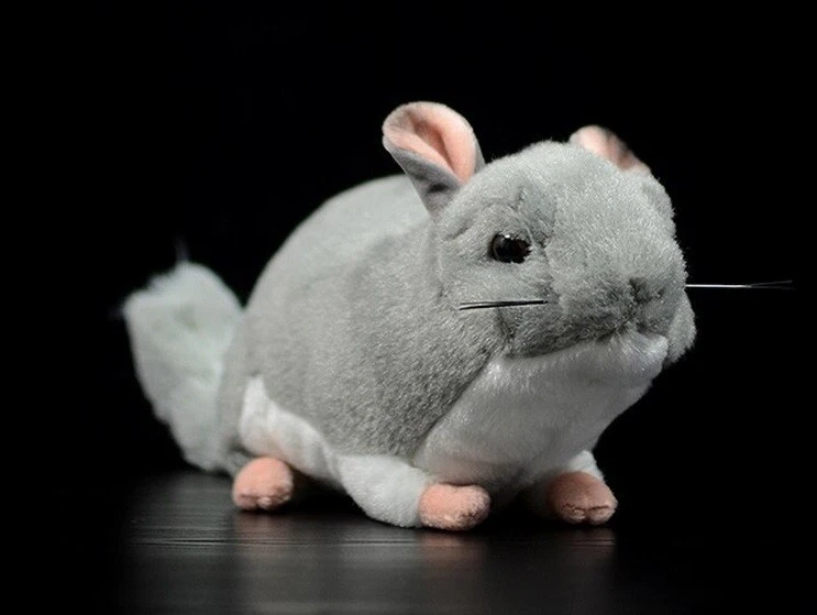 Stuffed best sale chinchilla toy