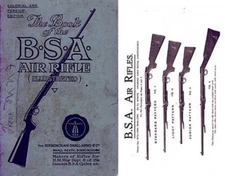 BSA c1911 (Birmingham Small Arms) Air Gun Catalog