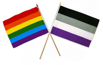 12x18 12"x18" Wholesale Combo Gay Pride Rainbow & Asexual Stick Flag | eBay