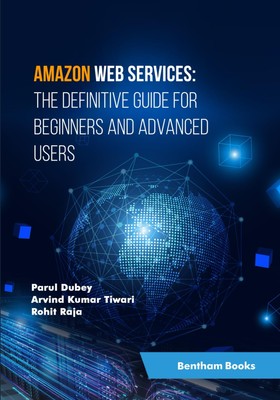 Amazon Web Services: the Definitive Guide for Beginners and Advan