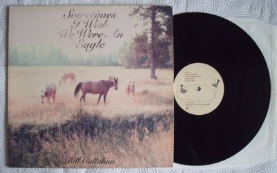 BILL CALLAHAN - SOMETIMES I WISH WE WERE AN EAGLE  Vinyl LP