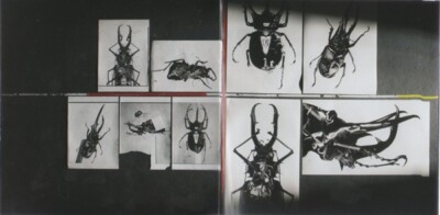 Massive Attack - Collected (The Best Of Massive Attack) (CD, Comp