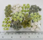 Foto 2 di 5