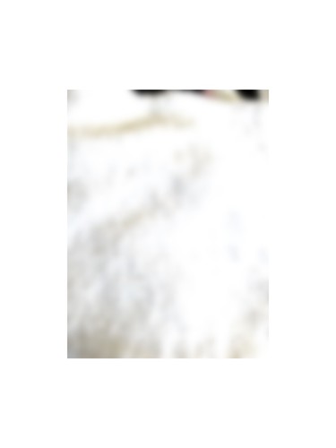 Lush Decor Elephant Parade Throw Fuzzy Reversible Sherpa Blanket, 50” x 50” - Picture 3 of 3