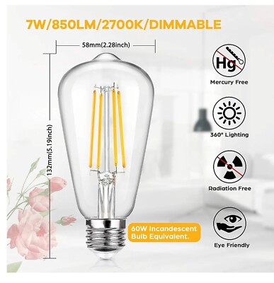 11 Pack LED Edison Bulbs, 60W Equivalent 7W, 800Lumens, E26 Dimmable ST58