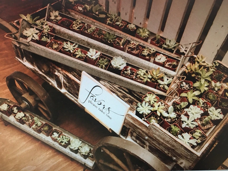 Vintage Galvanized Metal Country Farmhouse Chicken Poultry Feeder Trough Tray - Image 2 of 4