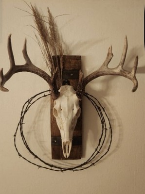 Rustic Skull Barrel Plaques  Free Shipping 
