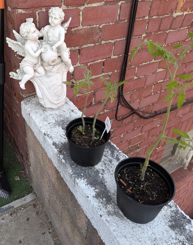 Beckett Cherub Wall Fountain Head Spitter 2003 Rococo Style Garden Water Feature - Image 3 of 4