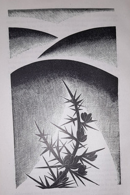 Oldham Gorse South Downs Druck Holzschnitt von Claire um 1940