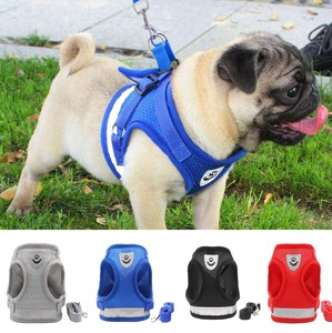 pug belt