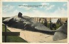 Postcard 90 ft Physeter Macrocephalus Sperm Whale Caught Beaumont Tx 1910 Posted