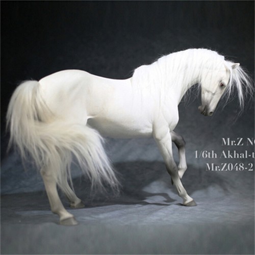 1/6 Scale Animal Resin Simulation Toy Akhal-Teke 6Color Horse Model Figure STOCK - Picture 15 of 20