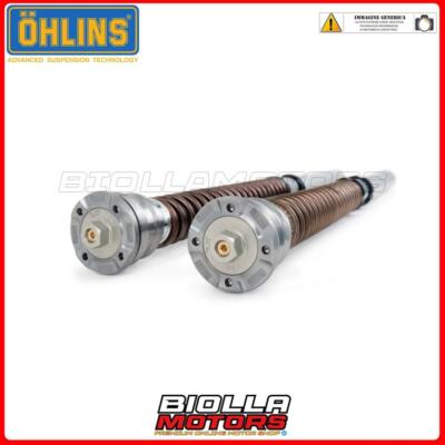 FGK-AG 251 FORK CARTRIDGE OHLINS KAWASAKI ZX 10 R 2017 - 30 mm