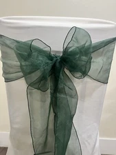 Organza Chair Sash, Party Decor, Chair Bow, Ribbon, Green, Blue, Ivory, Pink