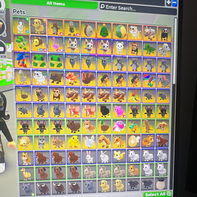 Adopt Me! Virtual Game Item Lot - Pets, Vehicles, Toys Inventory