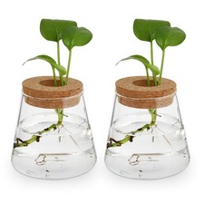 Plants Propagation Station 2Pcs Desktop Plant Terrarium Glass Hydroponic Vase...