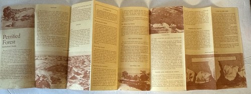 Brochure da viaggio vintage 1963 The Petrified Forest National Park Arizona - Foto 2 di 11