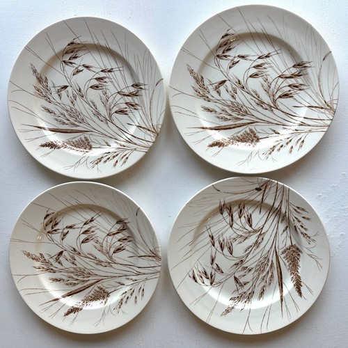 English Ironstone Tableware 4 x "Wild Oats" Dinner Plates Vintage Retro 9⅝" - 第 1/5 張圖片