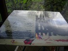 Bild 6 von 12