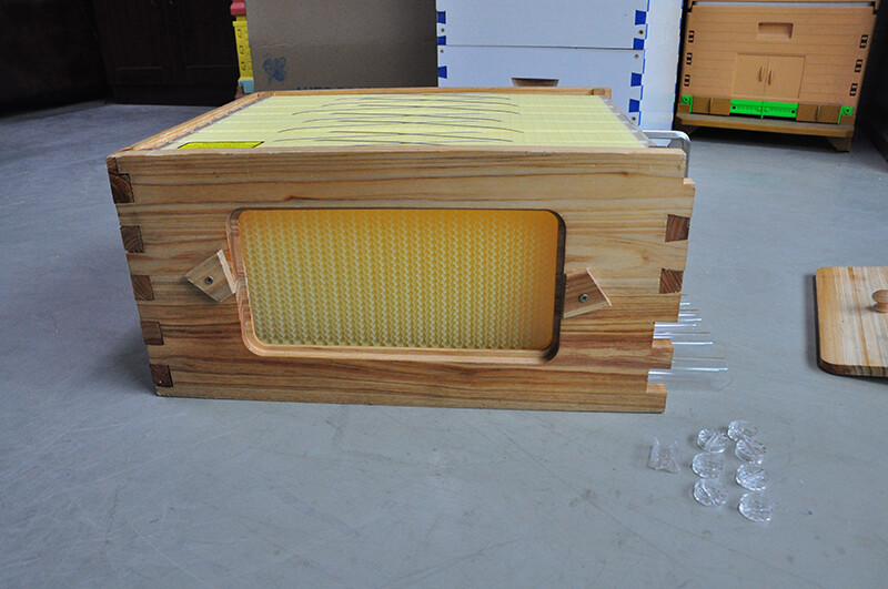 Fir Wood Auto Bee Hives Super Bee Box Beekeeping BOXES + 7 Beekeeping Frames USA eBay