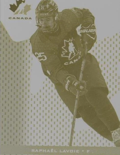 Printing Plate Yellow