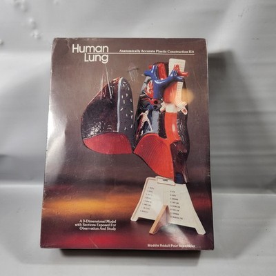 New Lindberg Human Lung Anatomically Accurate 3D Model Kit Vintage