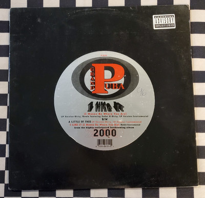 I Like It (I Wanna Be Where You Are) 12'' by Grand Puba vinyl 1995 VG+ 0-66131