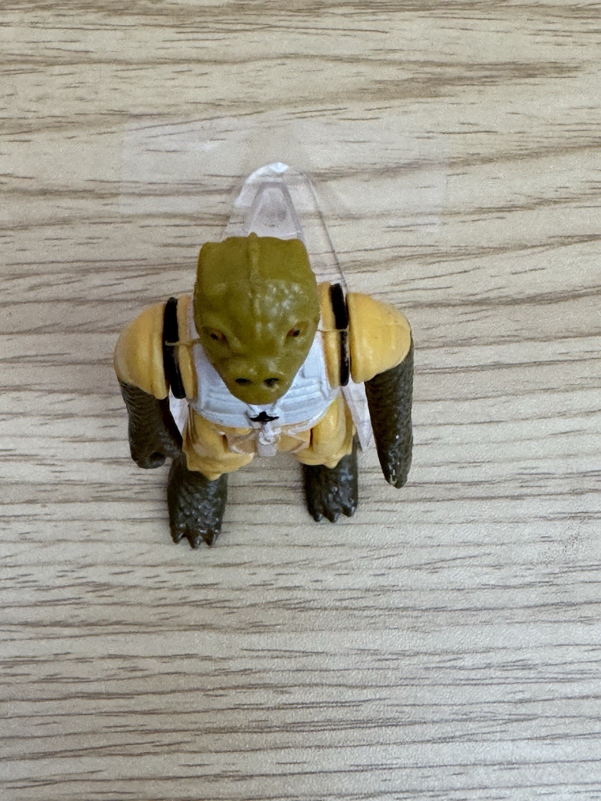 Picture 2 of 5