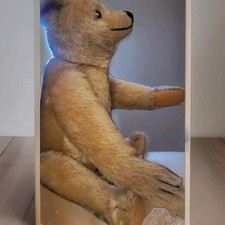 Original Steiff Bear Teddy Limited Edition 400506 Replica 1907, 20  Mohair Plush