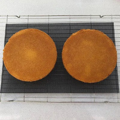 Bake-O-Glide Kühlregaleinsatz