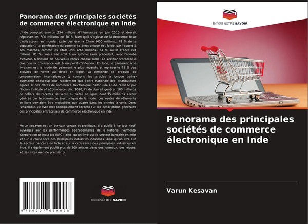 Panorama Des Principales SociéTéS De Commerce éLectronique En Inde Varun Kesavan-image