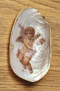 A Beautiful Angel Sea Shell Auto'd *Wow*