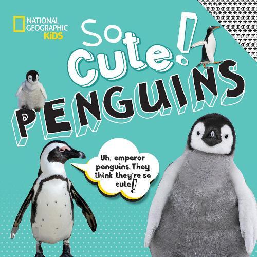 Thumbnail - Crispin Boyer So Cute: Penguins (gebundene Ausgabe)