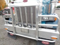 MOOSE BUMPER FOR PETERBILT 379