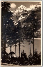 Im Gschinensee Austria Snowy Mountain Scene Trees RPPC Postcard