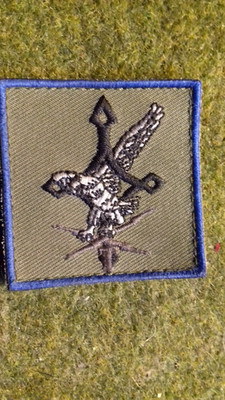 FABRIC BADGE EMBROIDERY EAGLE CROSS AGADEZ TRANSMISSION FRENCH BADGE BADGE